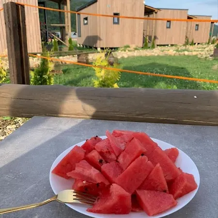 Rest гори 360 чан форель харчування Sheshory