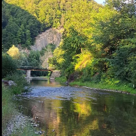 Rest гори 360 чан форель харчування * Sheshory