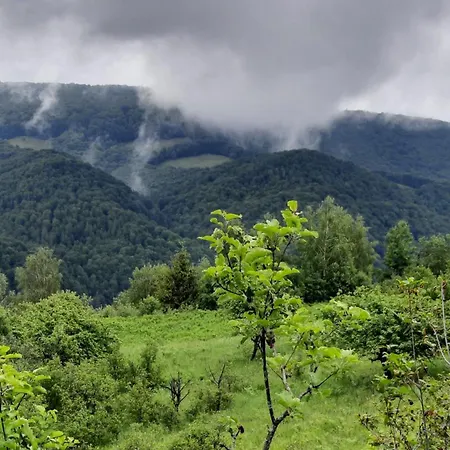 Rest гори 360 чан форель харчування Sheshory