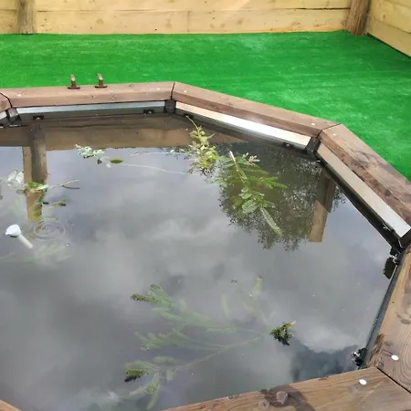 Rest гори 360 чан форель харчування Hébergement de vacances