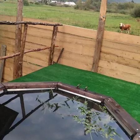 Rest гори 360 чан форель харчування