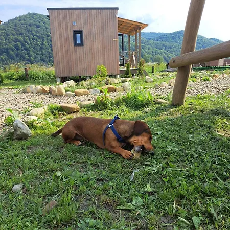 Rest гори 360 чан форель харчування Holiday home