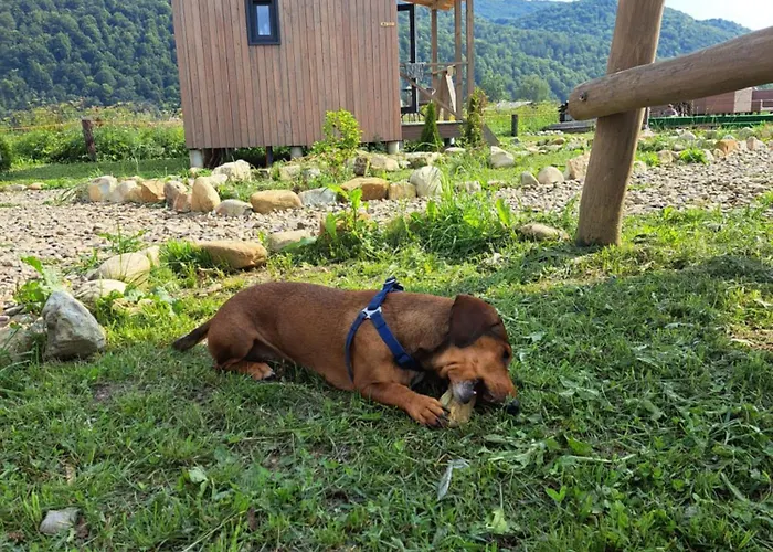 Rest гори 360 чан форель харчування Holiday home