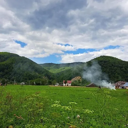 Rest гори 360 чан форель харчування * Шешоры